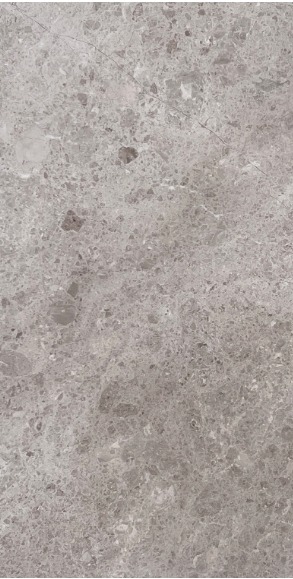Elegant Grey slab
