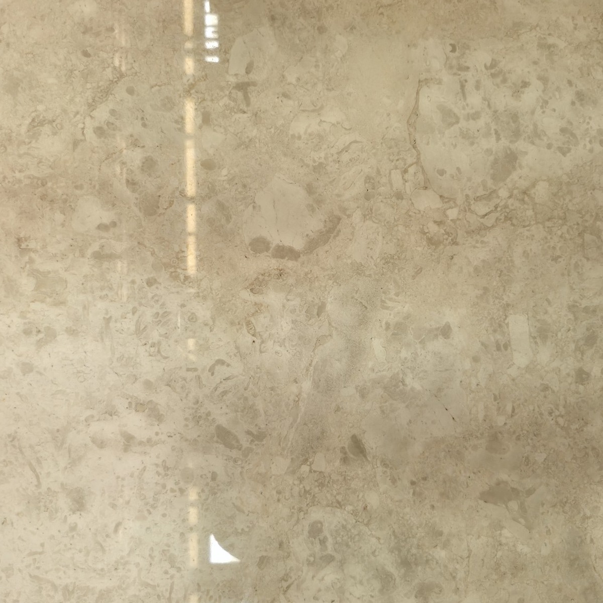 Imperial Cream marble texture