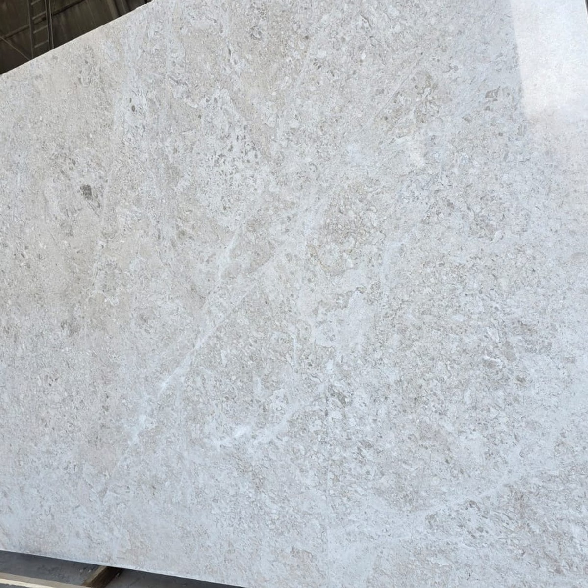 Moon Beige marble texture