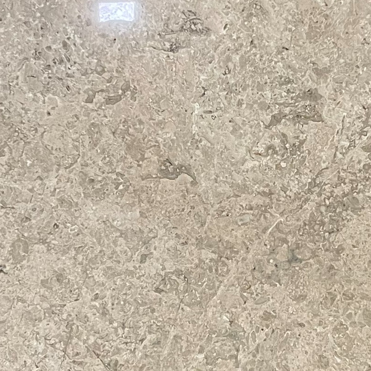 Sidrah collection texture